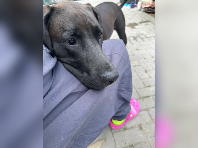 Dunkle Schönheit mit sportlichem Ehrgeiz