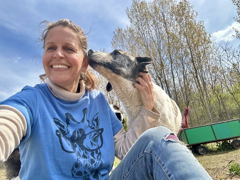 Zeusz, ein toller Hundemann sucht ein Zuhause.