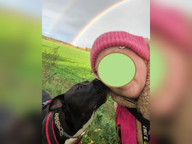 LUPO – ein fröhlicher Schalk mit großem Herzen