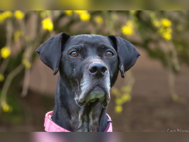 Amy sucht liebevolle Menschen