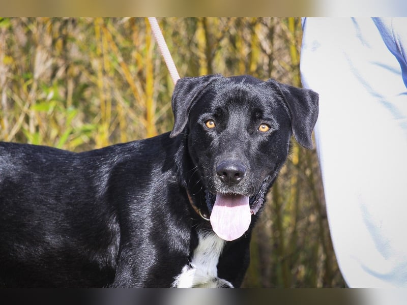 Groß – Sanft – Sozial… und noch viel mehr - das ist  KLAUS