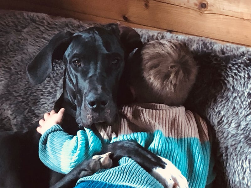 Unsere DD sucht ein neues Daheim