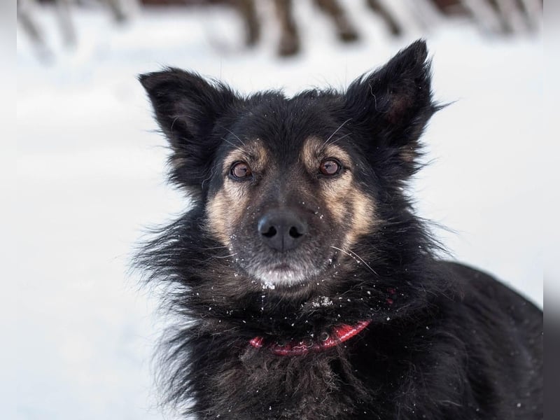 Tarzan - Wundervoller Kumpel (Ukraine)