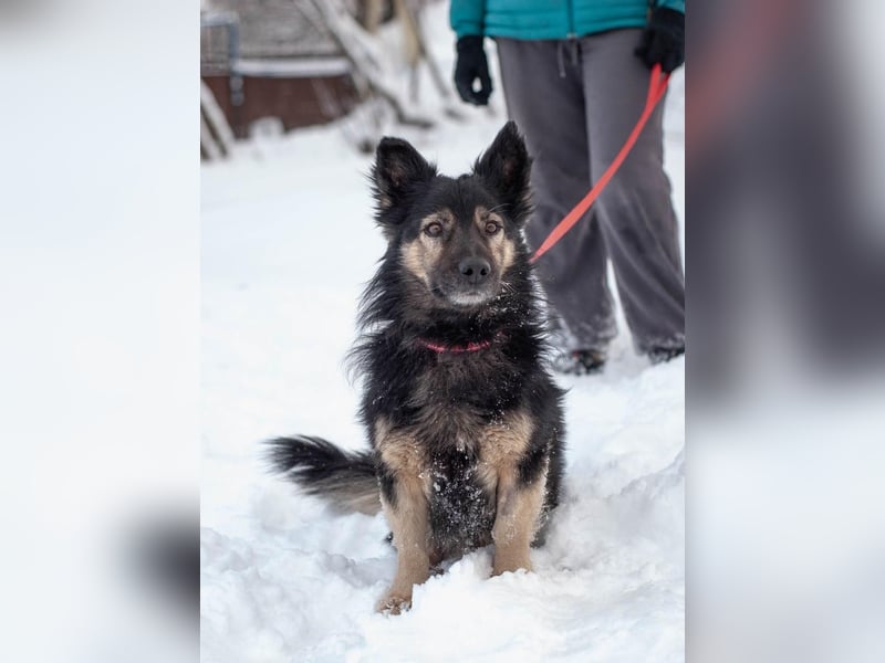 Tarzan - Wundervoller Kumpel (Ukraine)