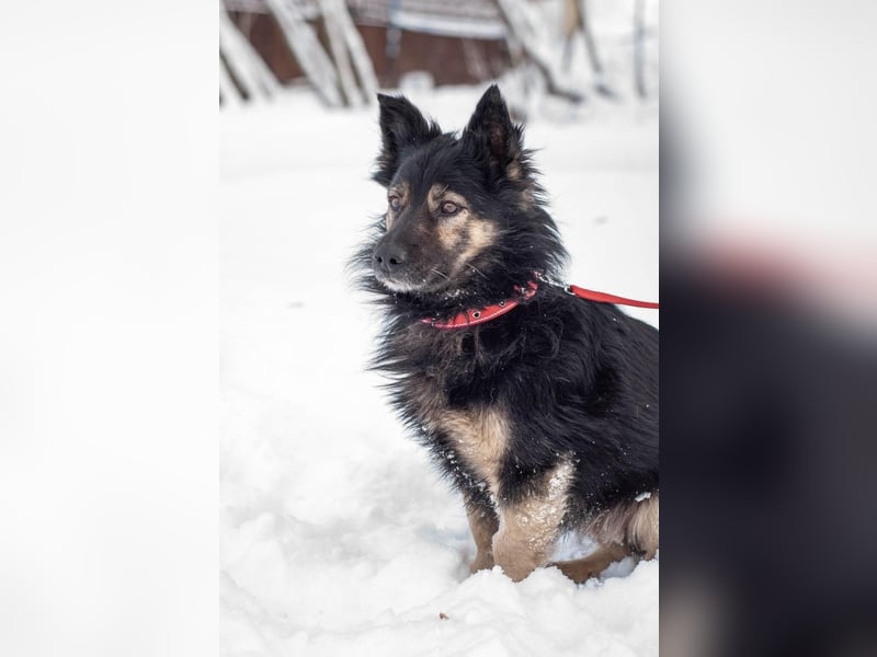 Tarzan - Wundervoller Kumpel (Ukraine)