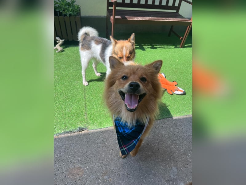 James SR sucht Kuschelpartner