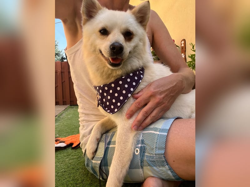 Matti SR sucht sein Für-Immer-Zuhause❤️