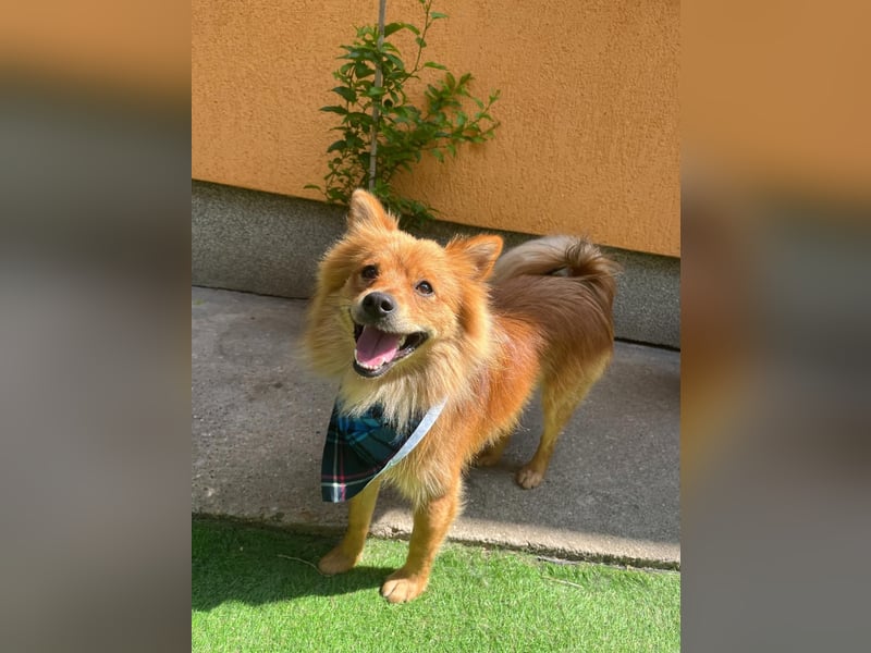 James SR sucht Kuschelpartner