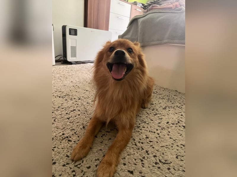 James SR sucht Kuschelpartner