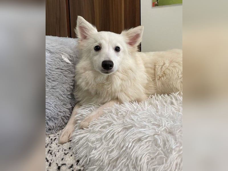 Timm SR, freundlich, etwas schüchtern