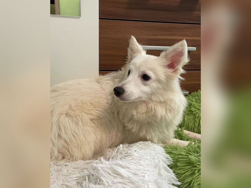 Timm SR, freundlich, etwas schüchtern