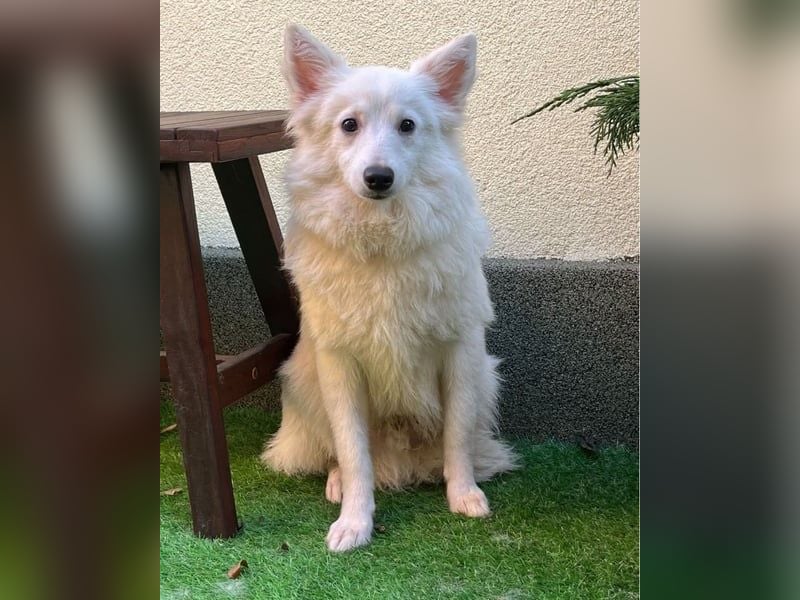 Timm SR, freundlich, etwas schüchtern