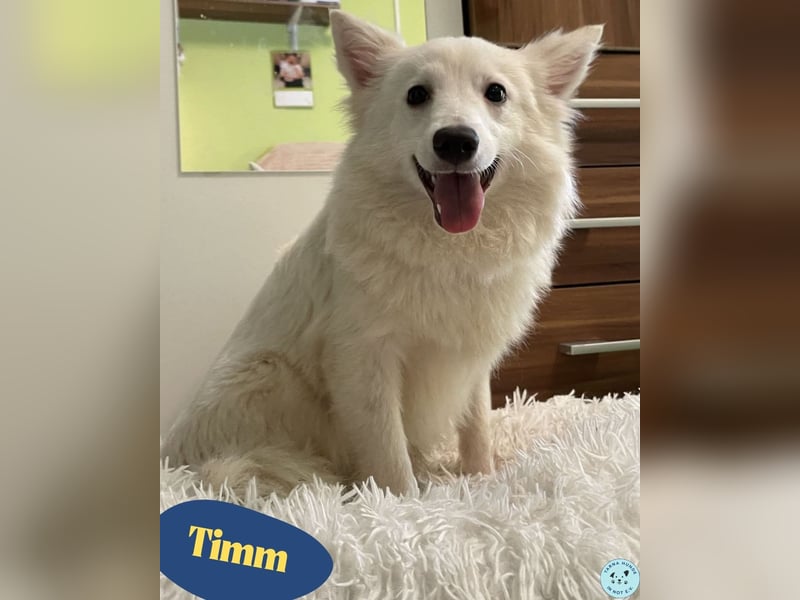 Timm SR, freundlich, etwas schüchtern
