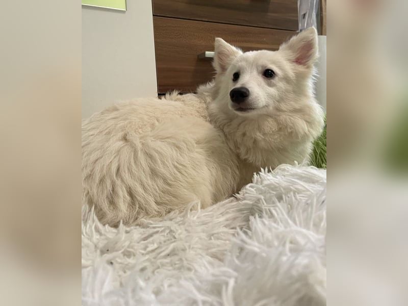 Timm SR, freundlich, etwas schüchtern