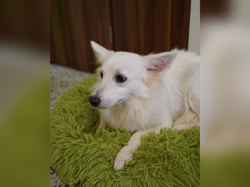 Timm SR, freundlich, etwas schüchtern