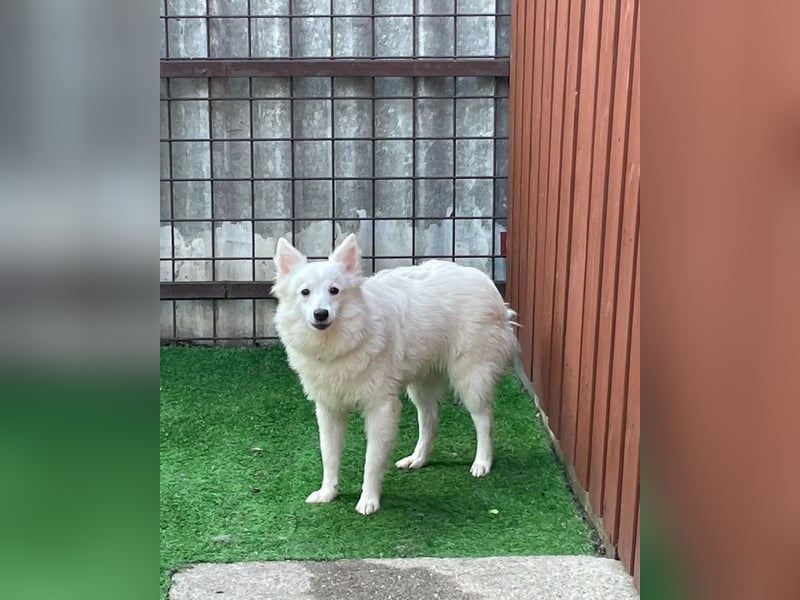 Timm SR, freundlich, etwas schüchtern