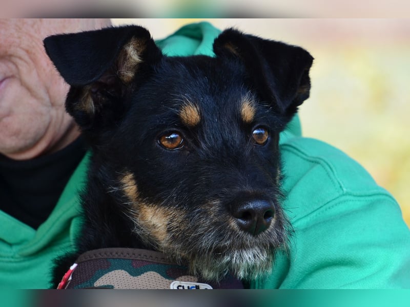 Kleiner Held Batman sucht sein Körbchen