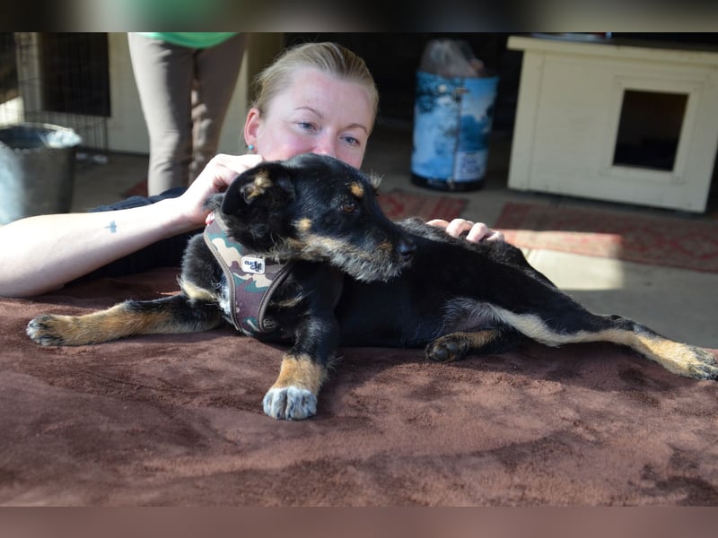 Kleiner Held Batman sucht sein Körbchen