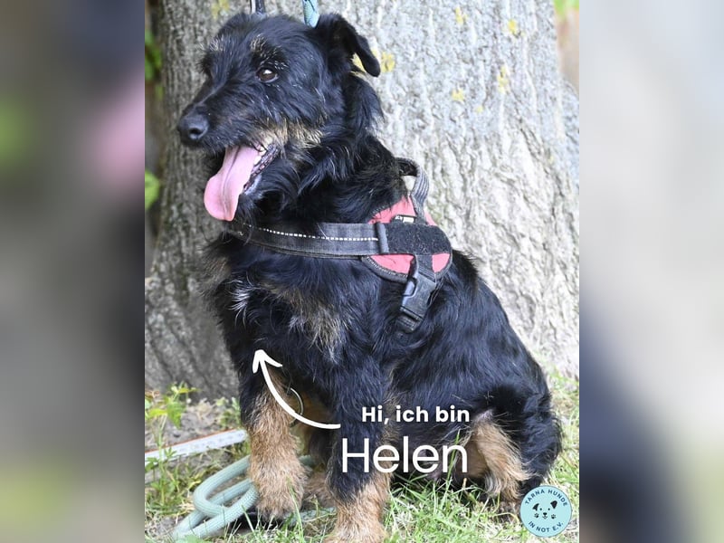 Helen SI, zauberhaftes kleines Mädchen