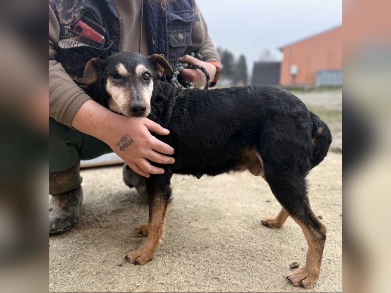 Lujka - Gnadenplatz gesucht