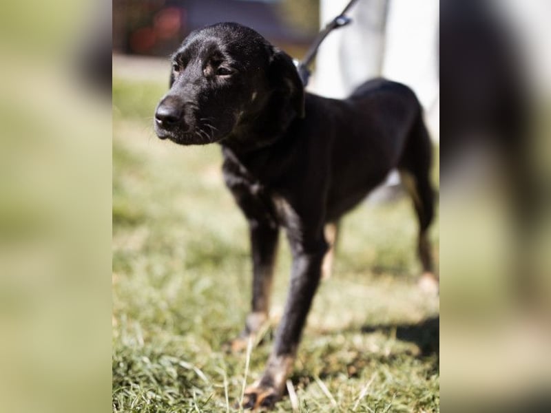 Zuckermaus Sophie ❤️ freundlich + so lieb!