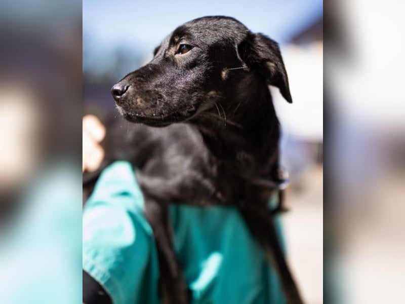 Zuckermaus Sophie ❤️ freundlich + so lieb!