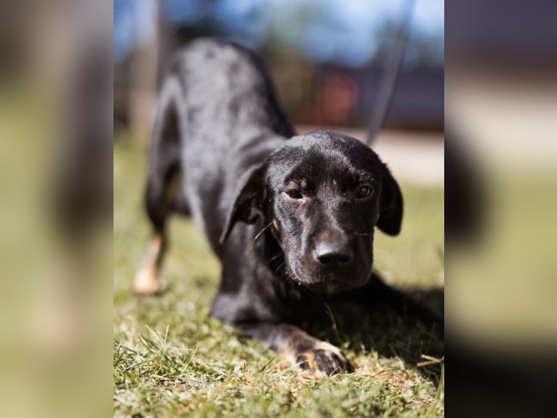 Zuckermaus Sophie ❤️ freundlich + so lieb!