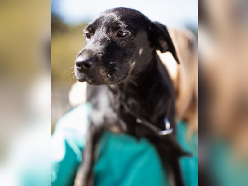 Zuckermaus Sophie ❤️ freundlich + so lieb!