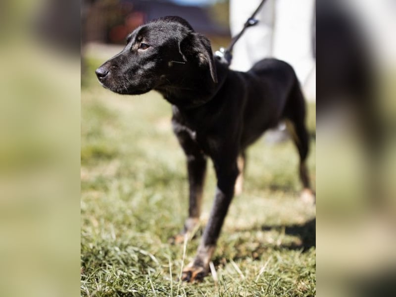 Zuckermaus Sophie ❤️ freundlich + so lieb!