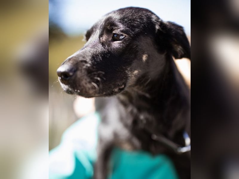 Zuckermaus Sophie ❤️ freundlich + so lieb!