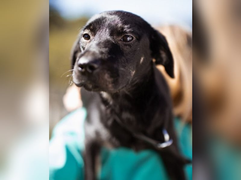 Zuckermaus Sophie ❤️ freundlich + so lieb!