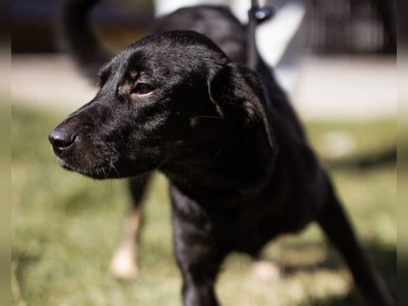 Zuckermaus Sophie ❤️ freundlich + so lieb!