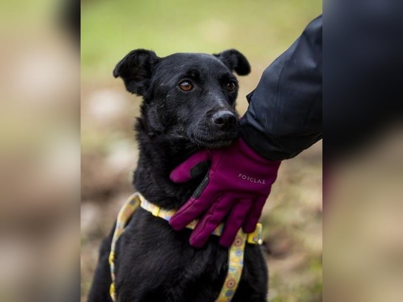 Adri VA - weiß was sie will