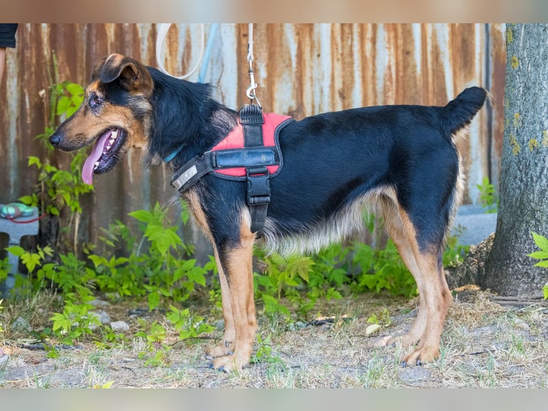 Hedi SI - liebt Menschen über alles