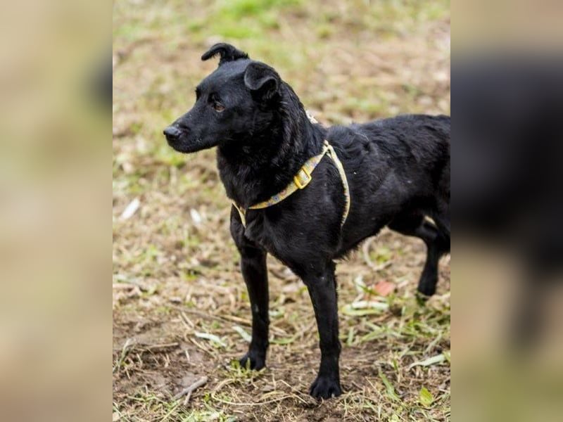 Adri VA - weiß was sie will