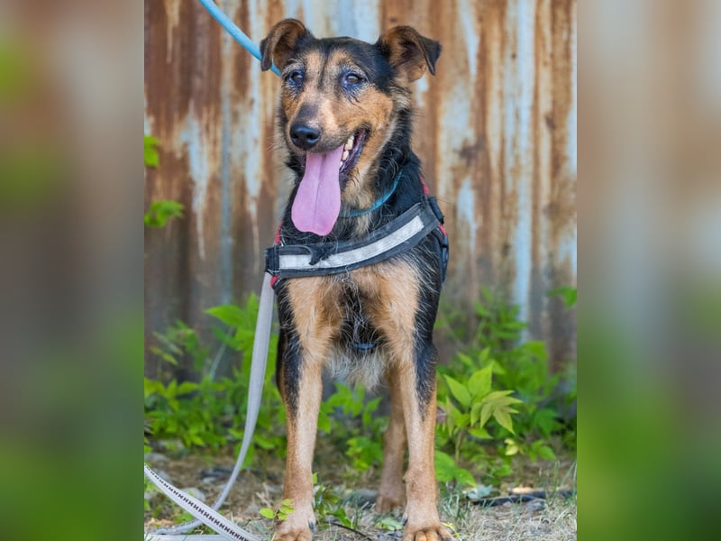 Hedi SI, liebt Menschen über alles