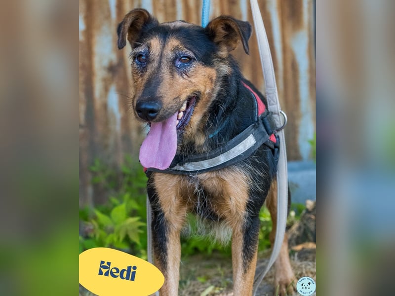 Hedi SI, liebt Menschen über alles