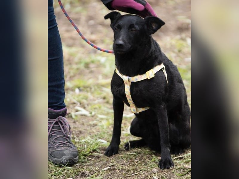 Adri VA - weiß was sie will