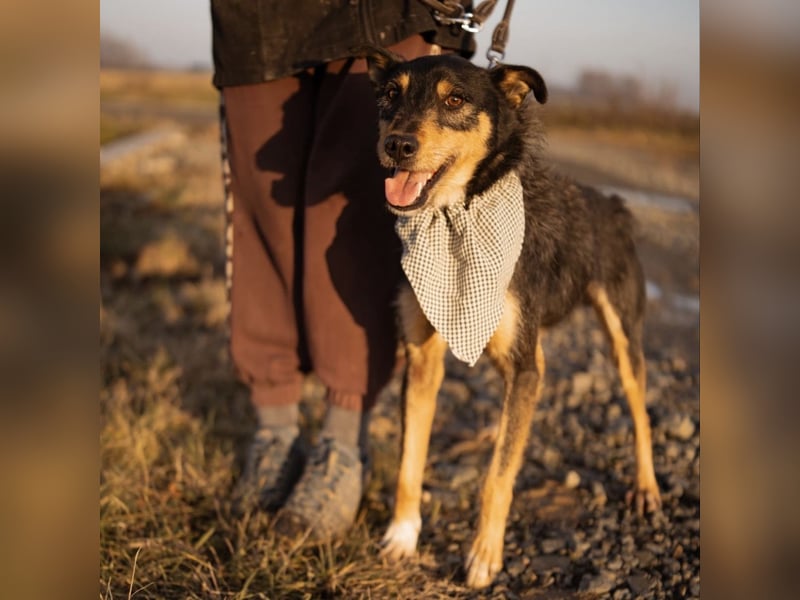 Teri wartet viel zu lange