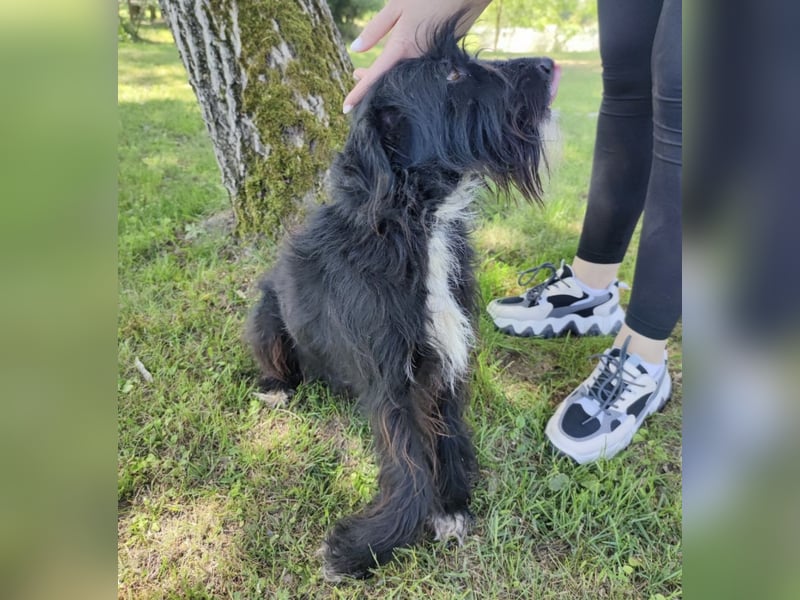Giuli ein sportlicher Kerl