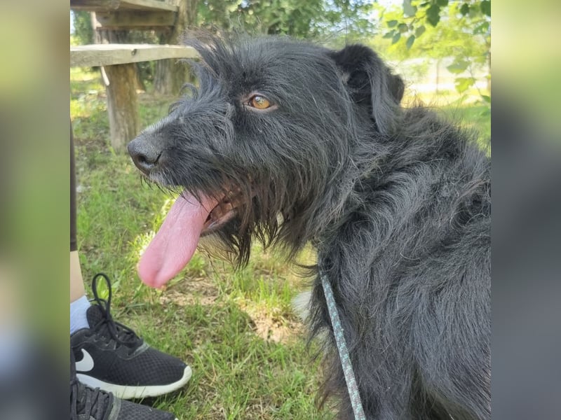Giuli ein sportlicher Kerl