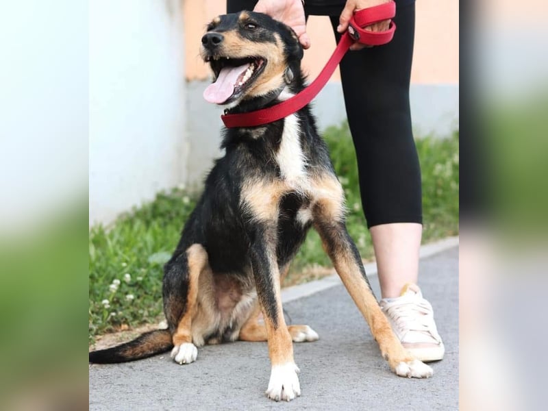 Teri wartet viel zu lange