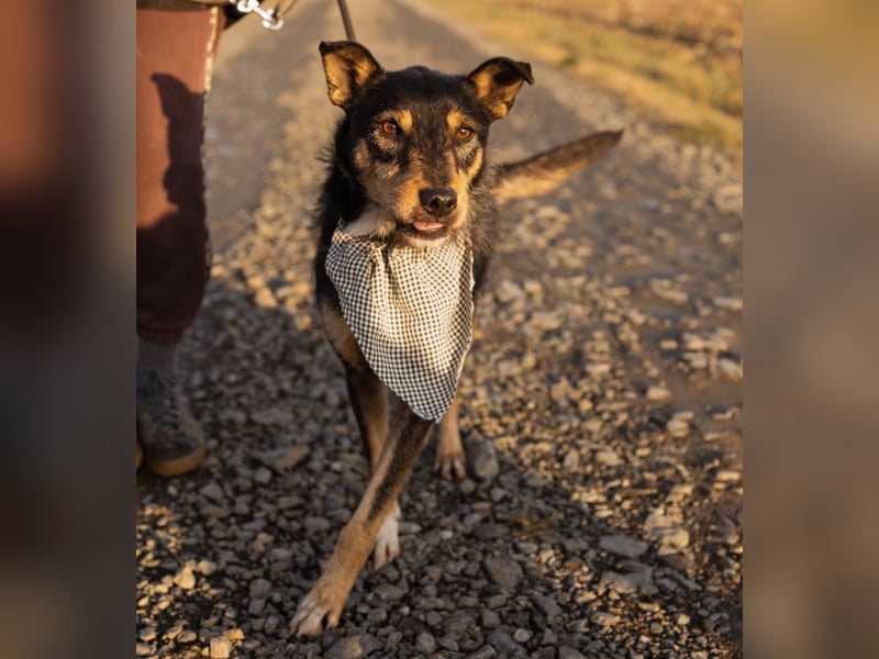 Teri wartet viel zu lange