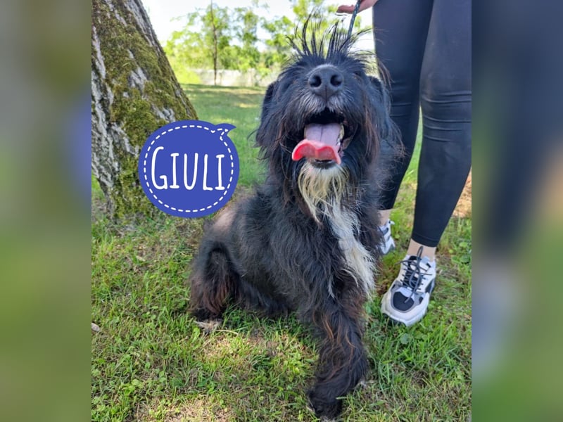 Giuli ein sportlicher Kerl