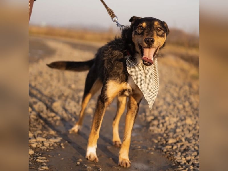 Teri wartet viel zu lange