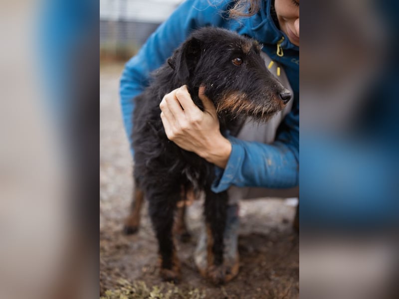 Dina ❤️ aktive, menschenbezogene Maus