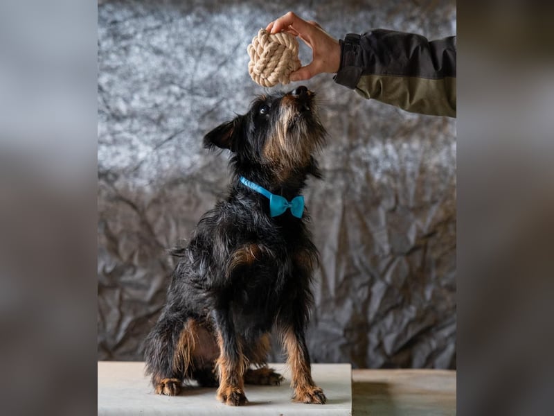 Andelko ein verschmuster Herzensbrecher