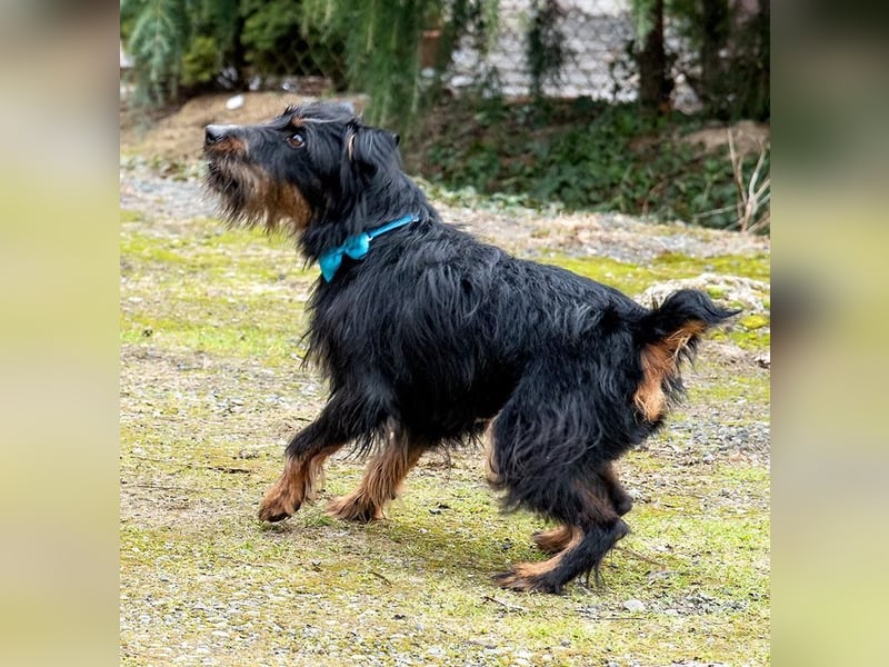 Andelko ein verschmuster Herzensbrecher