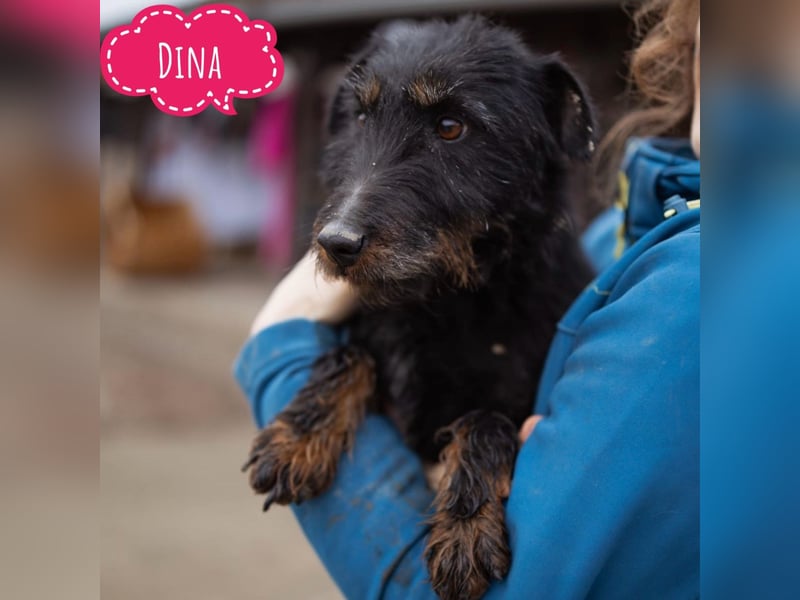 Dina eine richtige Kuschelmaus