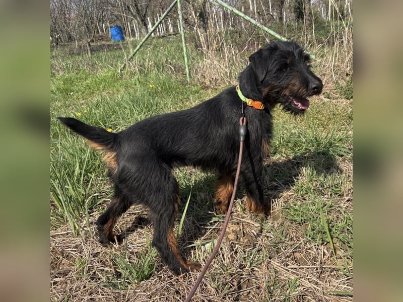 Dora ein kleiner Wirbelwind